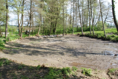 Celkový pohled na dno rybníka ve Sloučeni po odbahnění