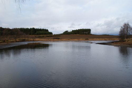Celkový pohled na vysečený rybník Sedlo